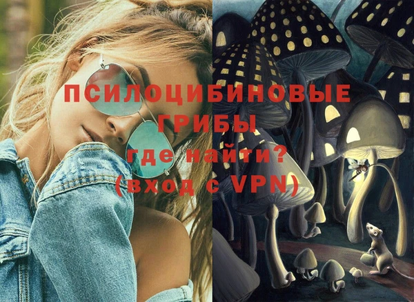 прущий лед Михайловск