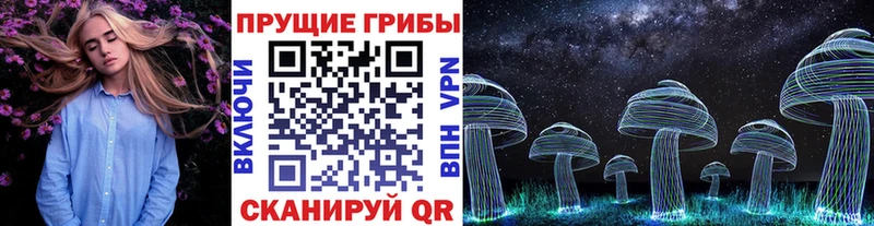 где можно купить наркотик Навашино Галлюциногенные грибы GOLDEN TEACHER